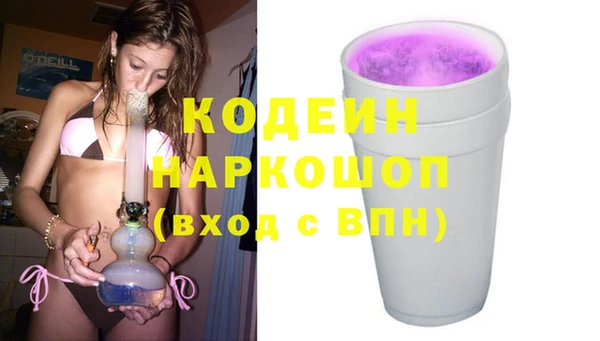 хмурый Елизово