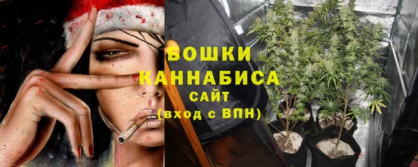 хмурый Елизово