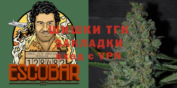 таблы Ельня