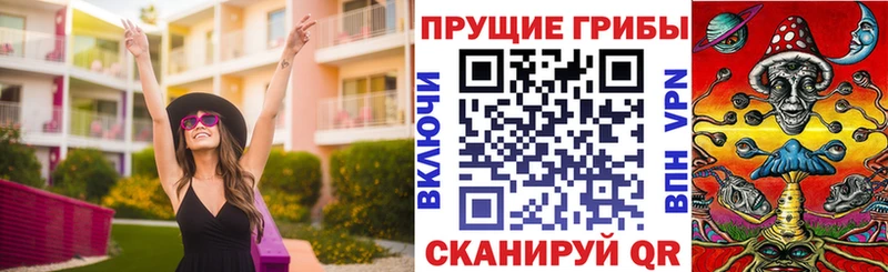 мега tor  Карабаново  Псилоцибиновые грибы Psilocybe 